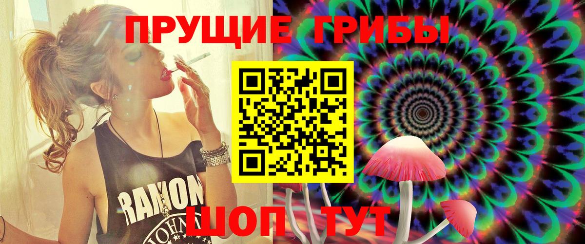 Коммунар  как найти закладки  Вход с VPN  Псилоцибиновые грибы прущие грибы 